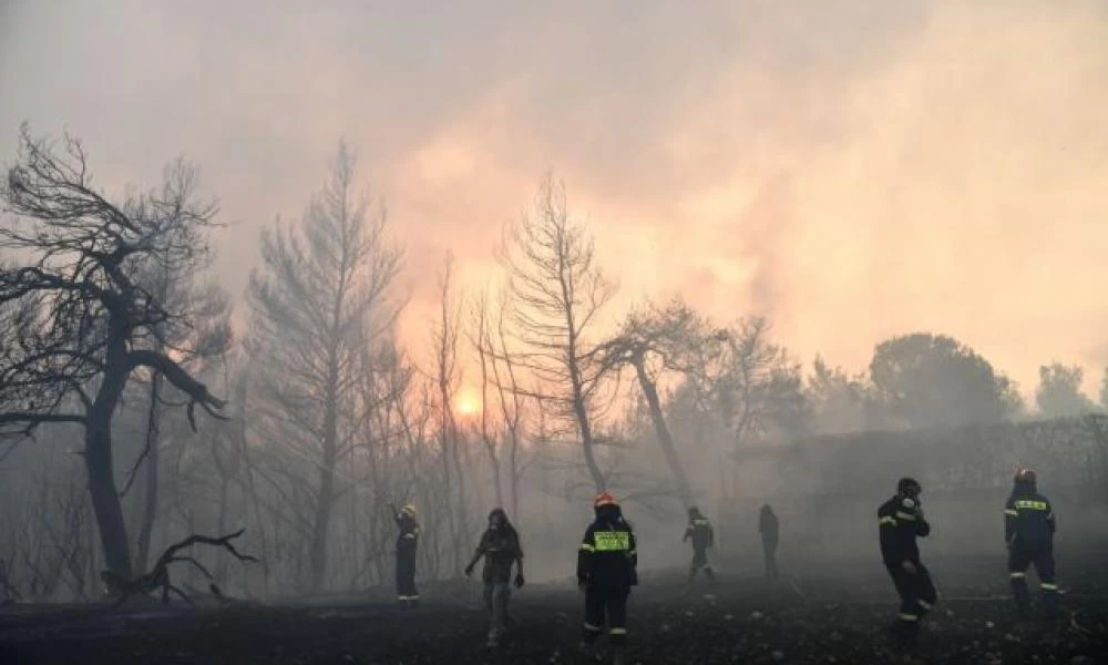 Αττική: Aπίστευτες εικόνες από τις καμένες εκτάσεις 4 μήνες μετά